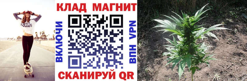 Купить наркотик аптеки Калуга Гашиш кракен вход Меф АМФ