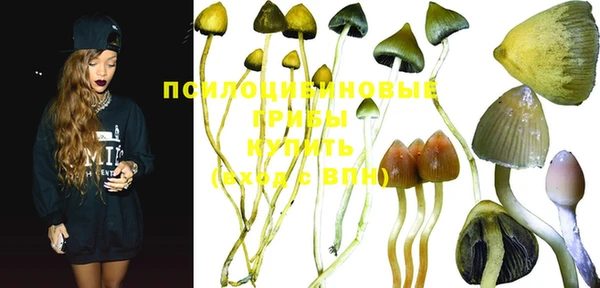 ПСИЛОЦИБИНОВЫЕ ГРИБЫ Балахна