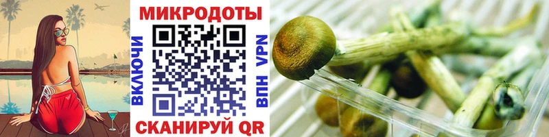 купить закладку  Калуга  Псилоцибиновые грибы Psilocybine cubensis 